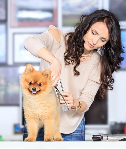 Nail Bars & Estudios de Uñas